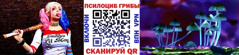 площадка официальный сайт  Саяногорск  Галлюциногенные грибы мицелий 
